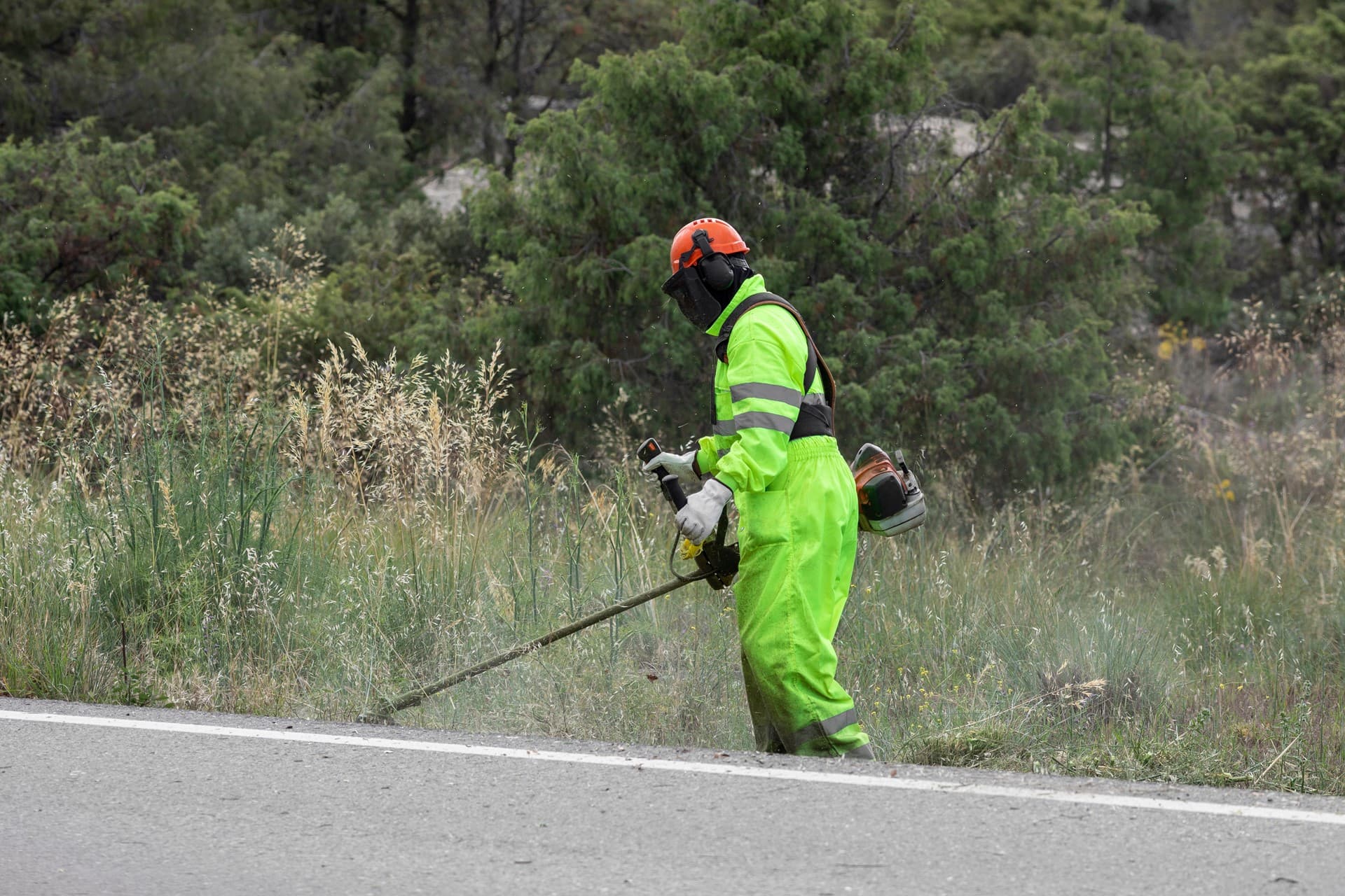 Desbroce de carreteras en Ourense