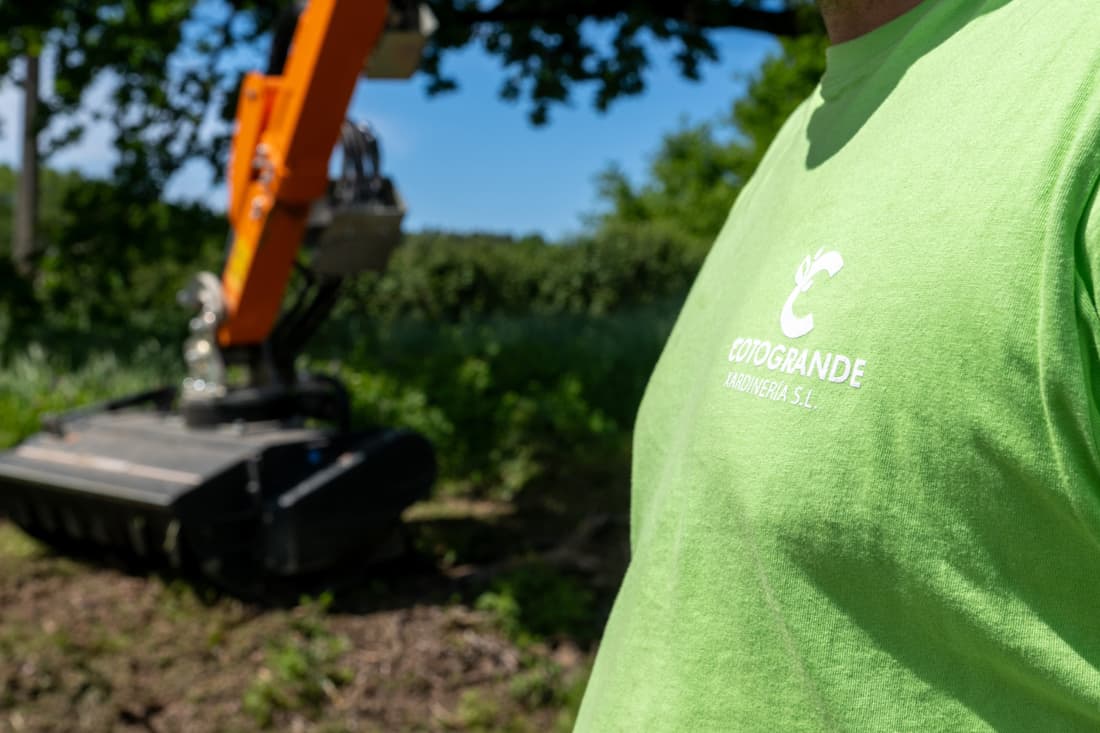 Desbroce de Bosques en Ourense