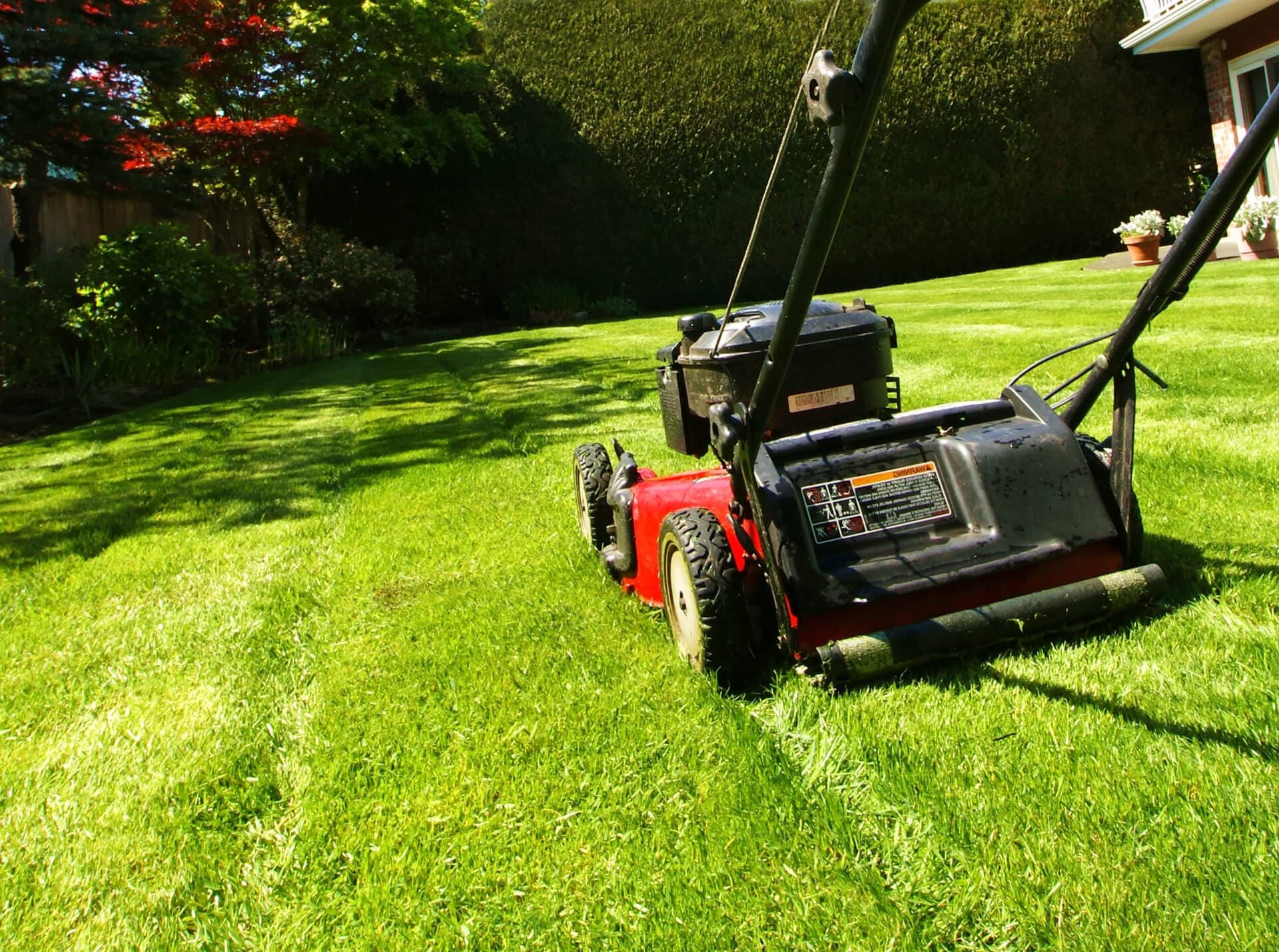 Amplia variedad de servicios de jardinería en Ourense